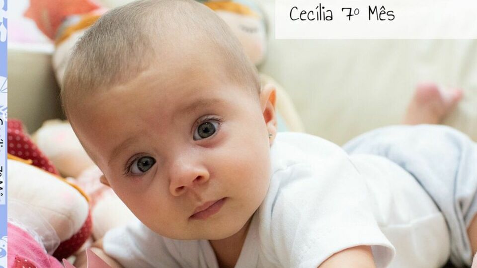 Acompanhamento mensal Cecília 7 mês - Ribeirão Preto -SP