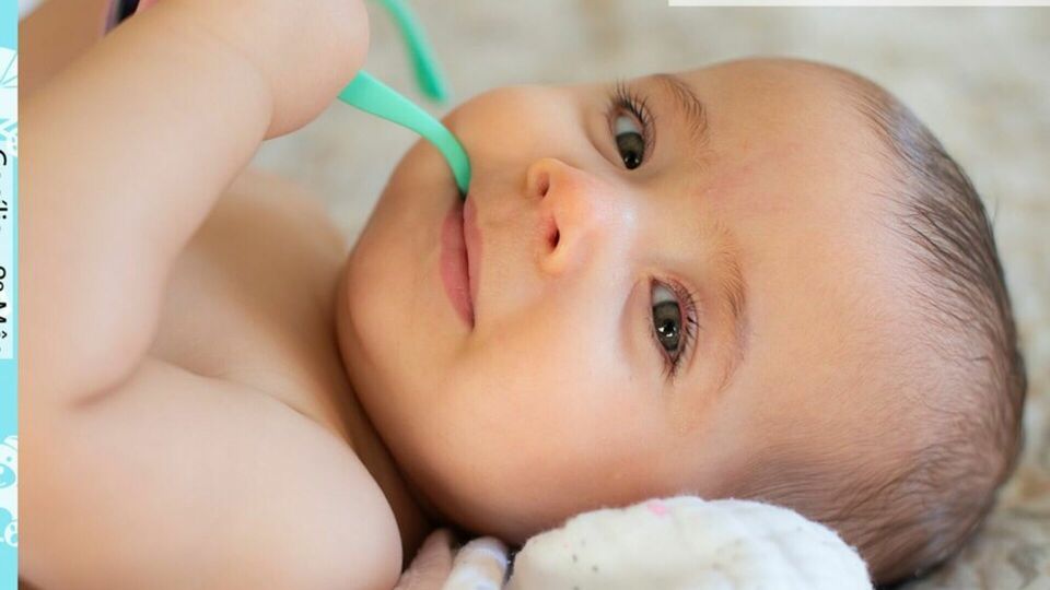 Acompanhamento mensal Cecília 8 mês - Ribeirão Preto -SP