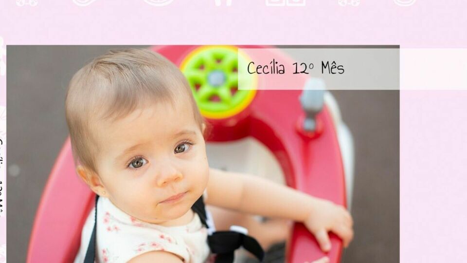 Acompanhamento mensal Cecília 12 mês - Ribeirão Preto -SP