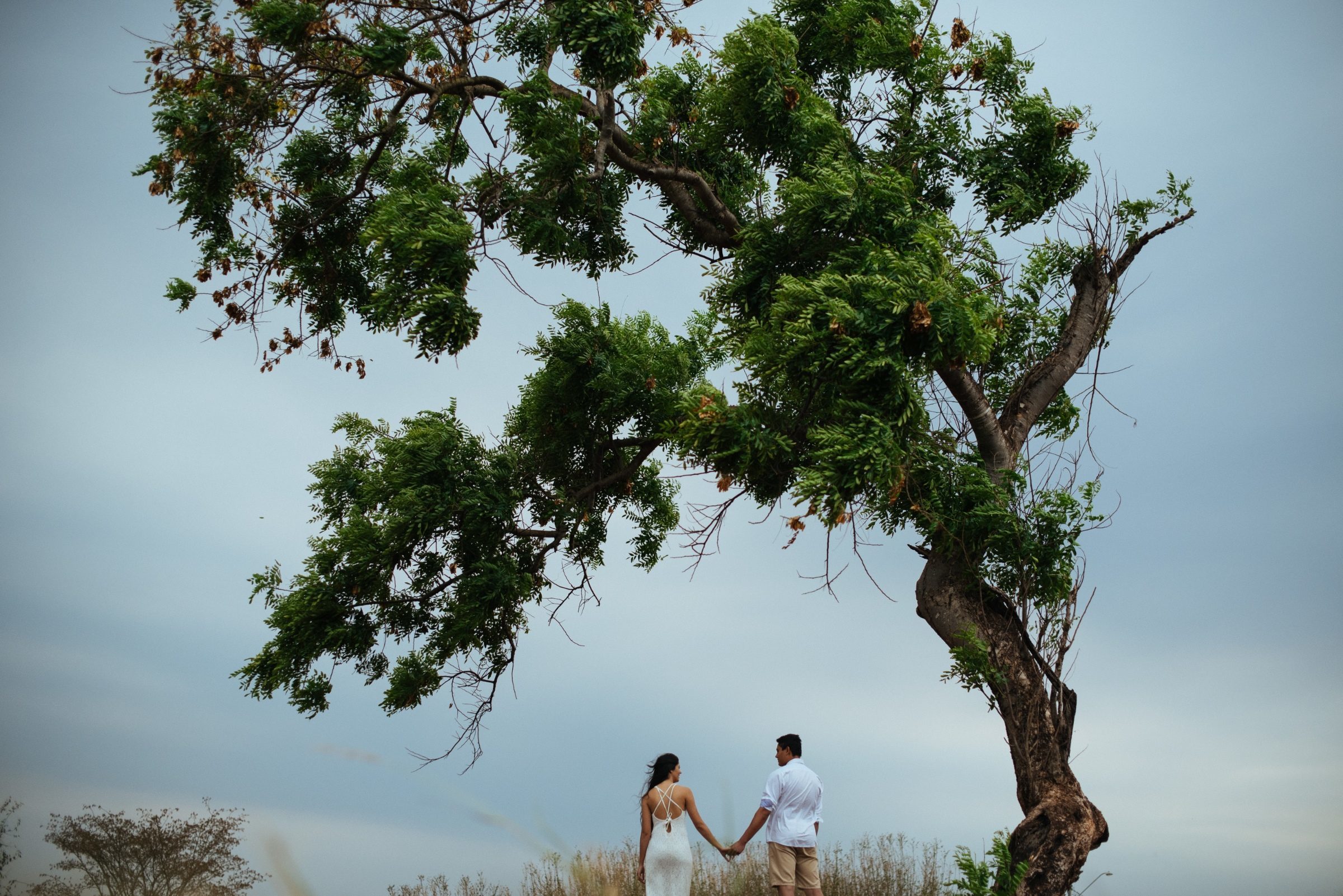 Foto de Leonardo Sawada 10